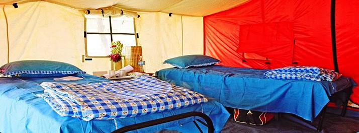 388/Camp Wild at Aravali Valley - Dhauj 008.jpg